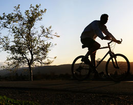 Mountain Biking In Sedgefield